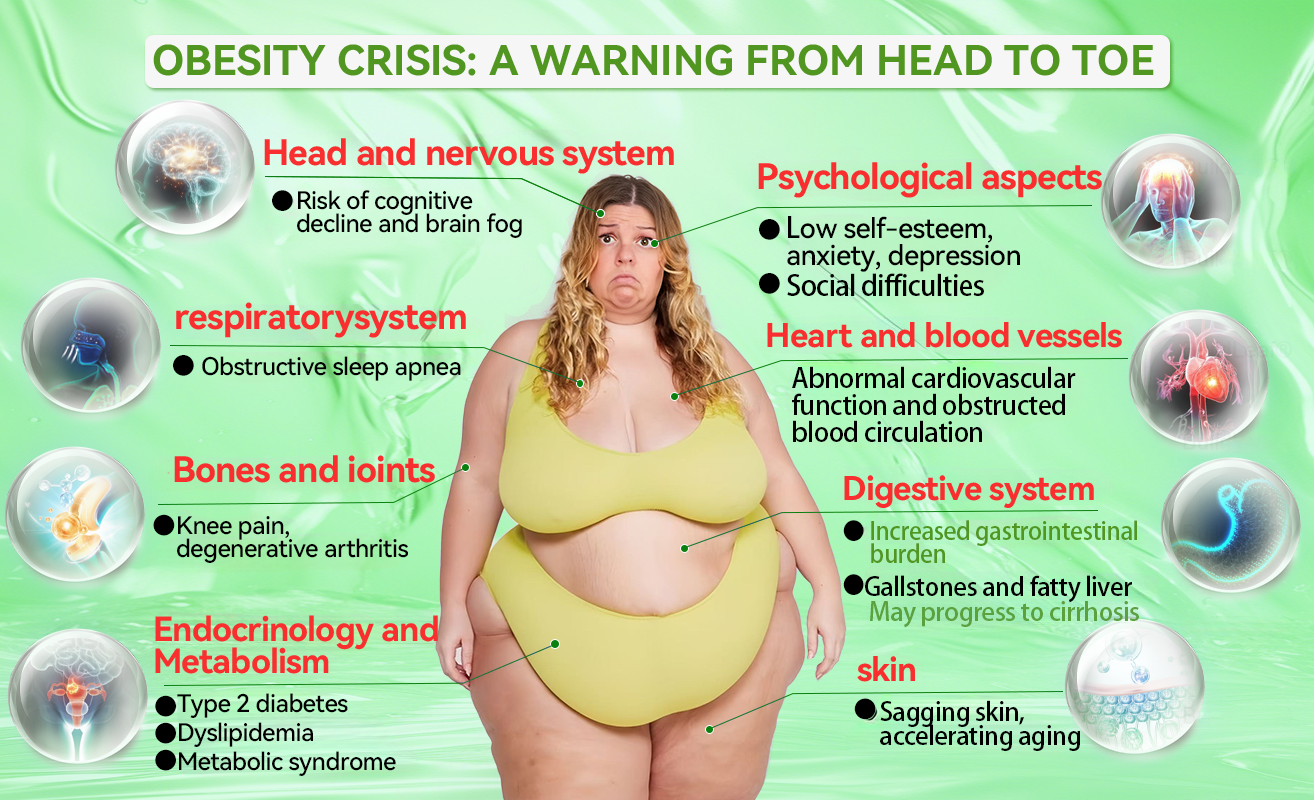 🇳🇿 𝑶𝒇𝒇𝒊𝒄𝒊𝒂𝒍 𝑺𝒕𝒐𝒓𝒆|HH𝐕𝐁® 🍀𝐍𝐀𝐃+ 𝐆𝐋𝐏-𝟏 ALL-IN-ONE Fit&Vital 𝐎𝐫𝐚𝐥 𝐋𝐢𝐪𝐮𝐢𝐝 (𝐉𝐮𝐬𝐭 𝐨𝐧𝐜𝐞 𝐚 𝐝𝐚𝐲, 𝐯𝐢𝐬𝐢𝐛𝐥𝐞 𝐜𝐡𝐚𝐧𝐠𝐞𝐬 𝐢𝐧 𝟕 𝐝𝐚𝐲𝐬） ✅ 𝐅𝐨𝐫 𝐨𝐛𝐞𝐬𝐢𝐭𝐲, 𝐜𝐚𝐫𝐝𝐢𝐨𝐯𝐚𝐬𝐜𝐮𝐥𝐚𝐫 𝐡𝐞𝐚𝐥𝐭𝐡, 𝐝𝐢𝐚𝐛𝐞𝐭𝐞𝐬, 𝐬𝐥𝐞𝐞𝐩 𝐚𝐩𝐧𝐞𝐚, 𝐆𝐮𝐭 𝐇𝐞𝐚𝐥𝐭𝐡, 𝐣𝐨𝐢𝐧𝐭 𝐢𝐬𝐬𝐮𝐞𝐬, 𝐚𝐧𝐝 𝐦𝐨𝐫𝐞